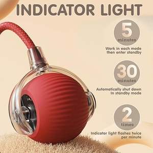 Jouet interactif automatique pour chat avec queue, rechargeable par USB-C, jouet intelligent pour animaux de compagnie, vente en gros OEM ODM - Product Image 4