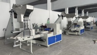 Machine d'emballage automatique de pailles en plastique multi-potables Machine d'emballage à grande vitesse de groupe de pailles en papier de type oreiller