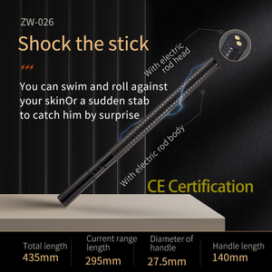 Bâton de choc électrique pour adultes, jouets sexuels BDSM, <span class=keywords><strong>fouet</strong></span> érotique et accessoire de stimulation des hanches pour hommes et femmes, outil d'entraînement SM féminin - Product Image 3