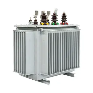 Transformador de distribuição immersível de óleo da série S11-m, 3 fases 6kv 10kv 25kv 100kva