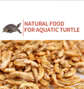 Gammarus natural para alimentación de peces - Product Image 3