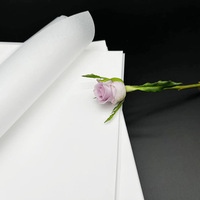 Papel de Calco Transparente Biodegradable y Reciclable para Manualidades A4, 55, 75, 95, 115, 180 Gsm, Precio de Fábrica