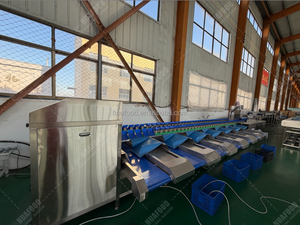 เครื่องสกัดเมล็ดทับทิมและเครื่องคัดแยก - Product Image 4