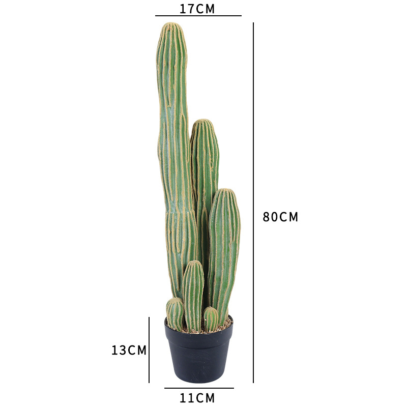 80cm