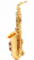 Earl Mann EB Tone Gold Lacquer Finish Alto Saxophone Brass Woodwind Instrument