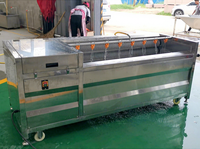 Multifunctionele wortelgroente- en fruitborstelreinigingsmachine voor groenteverwerkingslijnen