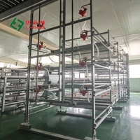 Nouvelles cages à poulets de chair populaires avec équipement automatique pour l'élevage avicole
