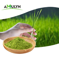 100% organique Naturel Vert Blé jus D'herbe D'orge extrait poudre