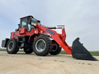 Chargeuse sur pneus diesel NMDE 968L de 2 tonnes, capacité de la benne de 1,2 m, garantie d'un an, entretien facile avec moteur pour la construction