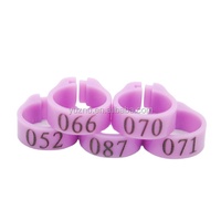 Bague numérique pour pigeon, 8 mm, plastique écologique, lot de 100 pièces en boîte, numéro de série 001-100, violet, pour pigeons de course, fournitures pour oiseaux