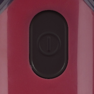 Aspiradora Vertical Portátil RAF Desmontable Súper Ligera de 1.0L con Filtro Lavable 2 en 1, Aspiradora de Mano sin Bolsa para Auto - Product Image 2
