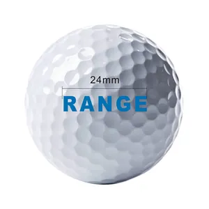 Promosi Pabrik OEM Cetakan Bola Golf Putih Kustom Olahraga 2 Lapisan Latihan Bola Golf