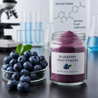 Natuurlijk puur bosbessen fruitpoeder FVP-44 instant wateroplosbaar sappoeder in plastic verpakking