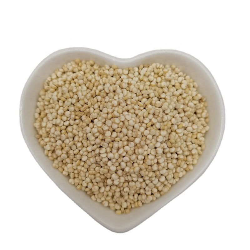 Dried White Quinoa Grain Gluten free