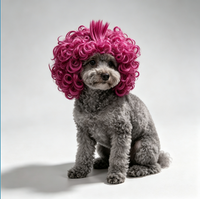 Perruque pour animaux de compagnie, pour chats et chiens, perruque afro universelle pour Halloween, accessoires capillaires personnalisés, toutes saisons