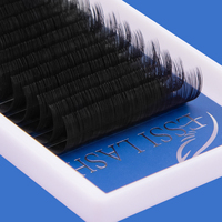 Extensions de cils en gros de qualité supérieure, fournitures pour extensions de cils individuels, plateaux de cils volume, extensions de cils en faux vison à marque privée