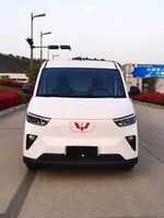 Véhicule de transport de marchandises Urban Express, mini-fourgon électrique Wuling Sunshine, blanc, véhicule à énergie nouvelle