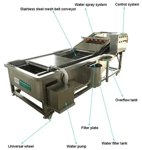 Convoyeur industriel certifié CE, machine à laver le poisson et à rincer, nettoyeur haute pression, nettoyeur à bulles d'air, crevette mante, crevettes, homard