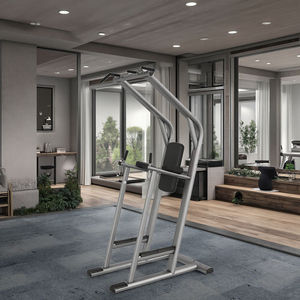 Máquina de entrenamiento de fuerza comercial para gimnasio, estación de dominadas y elevación de piernas, suministro directo de fábrica, MOQ bajo. - Product Image 4