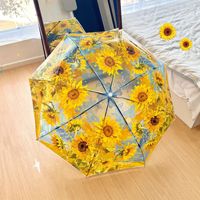 Parapluie Droit OEM Transparent POE Anti-UV Diamètre Ouvert 95cm Long Manche Manuel pour Photographie et Cadeau