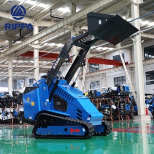 Горячая распродажа: мини-погрузчик RIPPA RS06 на гусеничном ходу с ковшом, быстрая доставка, сертификаты CE и EPA - Product Image 6