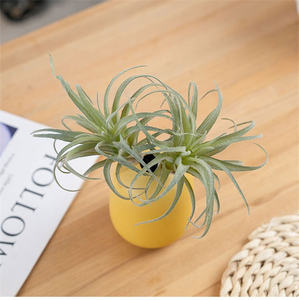 Bromelia suculenta artificial, pequeñas plantas <span class=keywords><strong>en</strong></span> maceta para decoración de oficina, escritorio, 2 unidades - Product Image 1