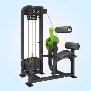 Pin chargé MND-<span class=keywords><strong>FM21</strong></span> exercice sport poids Commercial Gym Fitness équipement Machine dos Extension - Product Image 5