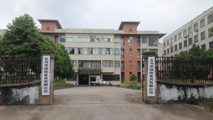 Yonger Factory Venta al por mayor Diseñador Señoras Cinturón de cuero PU para mujer con hebilla de aleación de oro Estilo casual Vestidos para niñas Jeans Correa - Product Image 5