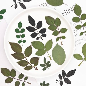 500 pièces/paquet de <span class=keywords><strong>roses</strong></span> avec tige, fleurs naturelles artisanales, réalistes, pour projets d'art en résine, cadres photo - Product Image 4