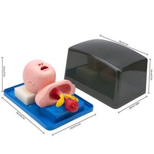 Model Pengajaran Manikin Intubasi Bayi Baru Lahir Simulasi Intubasi Trakea Hidung Oral Trainer Manajemen Jalur Napas untuk Demonstrasi - Product Image 4