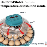Mini incubateur d'œufs entièrement automatique pour 30 œufs, contrôle de la température, retournement automatique, machine à couver pour poulets, canards, cailles et volailles