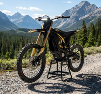 Moto électrique Surron Light Bee 2 19/18 pouces la plus populaire, vitesse maximale 90 km/h, système électrique LTB 78V