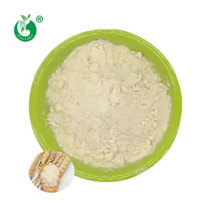 Pincre- suplemento de proteína vegetal, venta al por mayor, polvo de proteína de arroz marrón