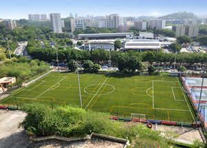 Césped Artificial Profesional de 60 mm para Campo de Fútbol, Calibre 5/8, Monofilamento de PE, Césped Sintético para Fútbol MDS60 - Product Image 5