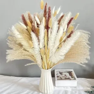 Bouquet Naturale di Fiori Secchi Soffici, Erba della Pampa Decorativa per Vasi, Erba <span class=keywords><strong>Pampas</strong></span> Essiccata all'Ingrosso - Product Image 3