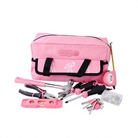 Kit d'outils ménagers en acier au carbone de 18 pièces, ensemble rose, boîte à outils familiale, marteau, clé à molette, collection d'outils de quincaillerie