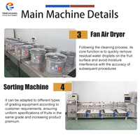 Machine voor het wassen, drogen en sorteren van mandarijnen, raap, tomaten, aardappelen en appels. Op maat gemaakte verwerkingsoplossingen voor groenten en fruit.