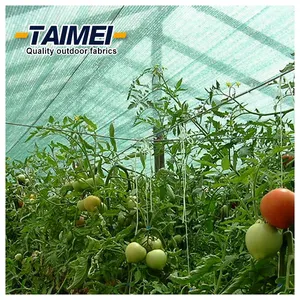 UV Net Agricultural Netting Agriculture Protective Shade Net For Fruits And Vegetables