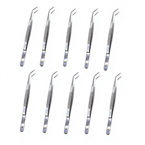 10 Instruments dentaires de qualité supérieure en acier inoxydable de 6 pouces, certifiés CE, pinces à pansements en coton pour usage universitaire, forceps, pinces à épiler, manuels de classe - Product Image 1