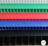 Fabricant de panneaux ondulés en plastique PP légers, imperméables, recyclables, pour boîtes de rangement, cloisons, usage domestique