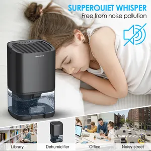 2022 vente chaude Deshumedecedor 1000ML Home Air Mini petit déshumidificateur portable