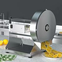 Elektrische fruitsnijmachine van roestvrij staal, groentesnijder, citroen- en aardappelsnijmachine voor gebruik in restaurants en catering.