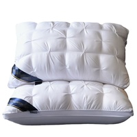 Oreiller élastique en velours plume solide moderne Cinq étoiles Qualité hôtelière Soutien du cou pour adulte Oreiller solide moderne lavable torsadé