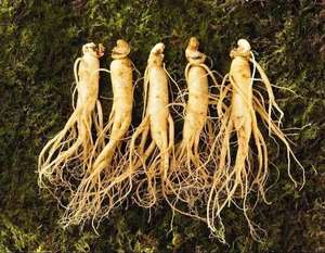 ผงสารสกัดเห็ดหลินจือออร์แกนิก เกรดอาหาร อาหารเสริมสมุนไพร - Product Image 3