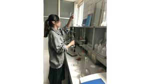 Sulfato de Aluminio de Alta Calidad para el Tratamiento de Agua, 15% de Sólidos, Mercado de Mozambique - Product Image 2