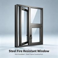 Fenêtre fixe en acier moderne non isolée, résistante au feu, certifiée FW60 BS476, verre ignifuge, apprêté, solution complète