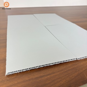 Panneau alvéolaire en polypropylène (UPE) – Plaque plastique ondulée 3mm/5mm, ignifuge, recyclable, personnalisable, <span class=keywords><strong>d</strong></span>écoupe et soudure - Product Image 5