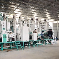 Fraiseuse à riz combinée automatique 20TPD Composants de base de riz domestique avec moteur par Rice Miller