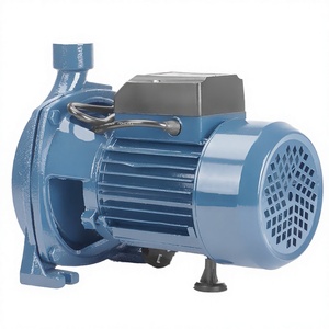 Pompe centrifuge horizontale monophasée 2HP à faible pression pour l'irrigation, personnalisable OEM, joint en acier inoxydable, garantie 1 an - Product Image 4