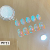 Ongles Aurora personnalisables bricolage presse sur ongles miroir poudre manucure paillettes frottage poussière
